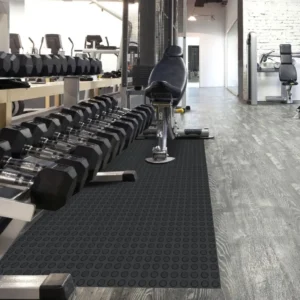 Piso Moeda para Academia